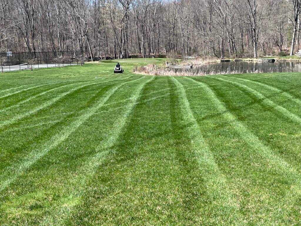 All Electric Lawn Mower Results (5) (1)