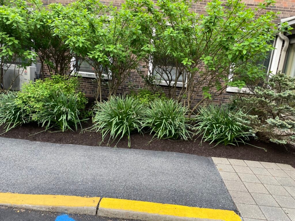 Team performing Commercial Landscape Maintenance in Peekskill on a retail property