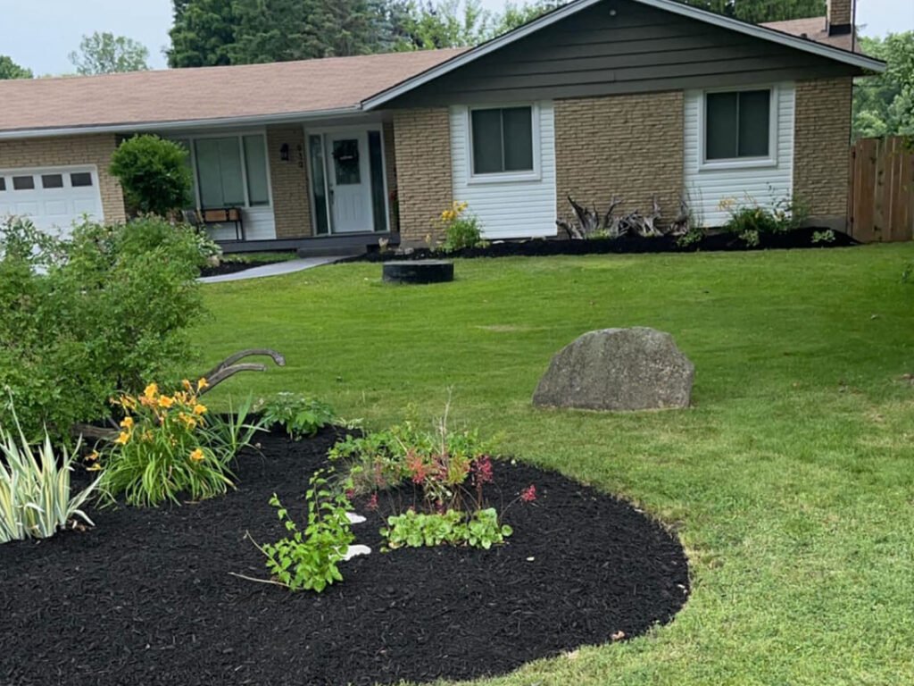 Lawn Property