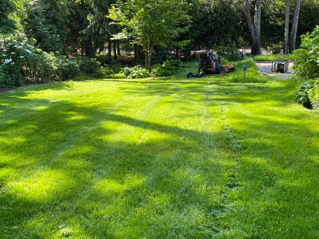 Residential Tree Planting Services Peekskill NY