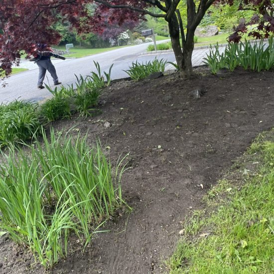 73741249734__7CB3EFBD-C806-447D-A794-C47EE6C225A2