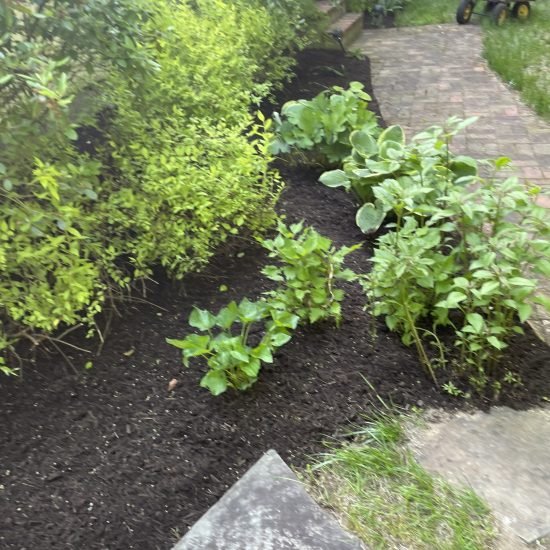 73801763974__475DE220-6519-4A43-82B4-A7CE6283A598