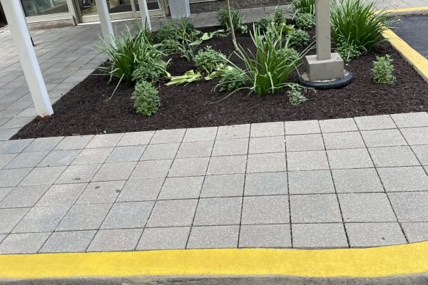 Landscape Maintenance