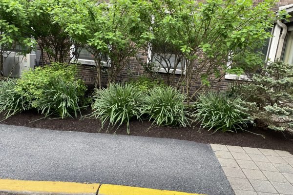 Commercial Landscape Maintenace Team performing Commercial Landscape Maintenance in Peekskill on a retail property