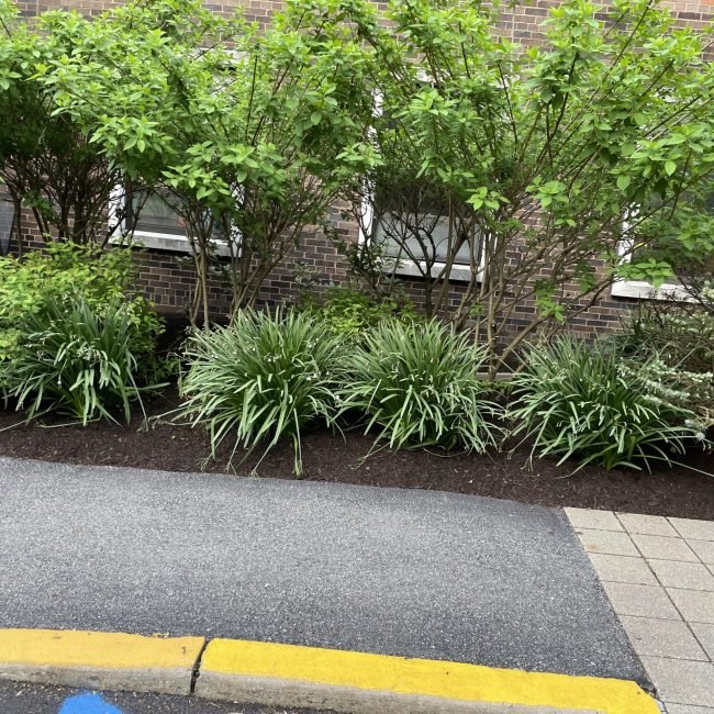 Team performing Commercial Landscape Maintenance in Peekskill on a retail property